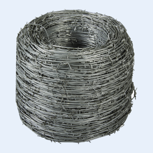 Barbed Wire Double Strand