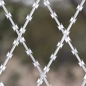 Razor wire fence